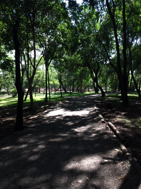 A pista do Ibirapuera